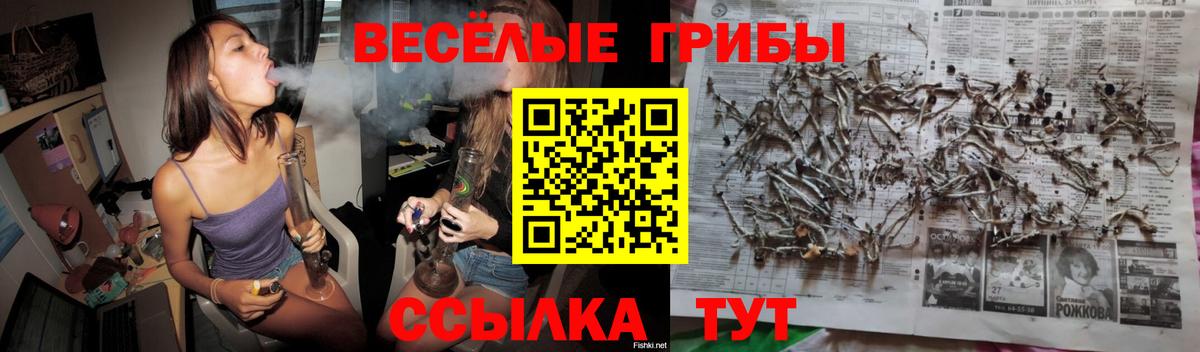 Псилоцибиновые грибы MAGIC MUSHROOMS  Вход с VPN  Солнечногорск 